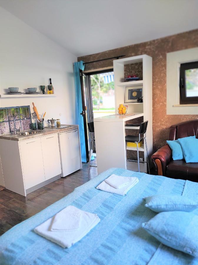 Studio Oliva - Free Parking PUY Exterior foto